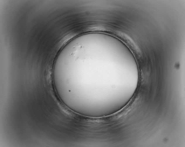 X0000102341225200808151720