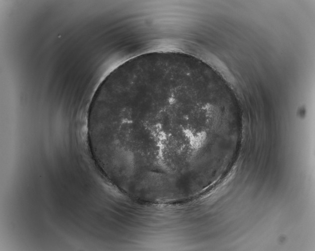 X0000102341226200808151720