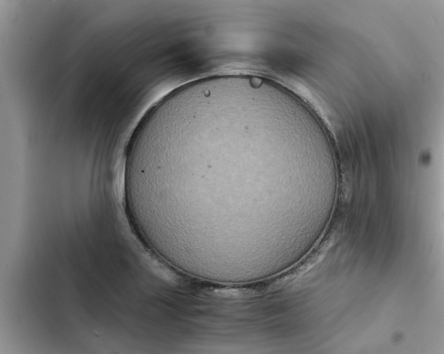 X0000102341227200808151720