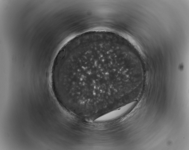 X0000102341229200808151720