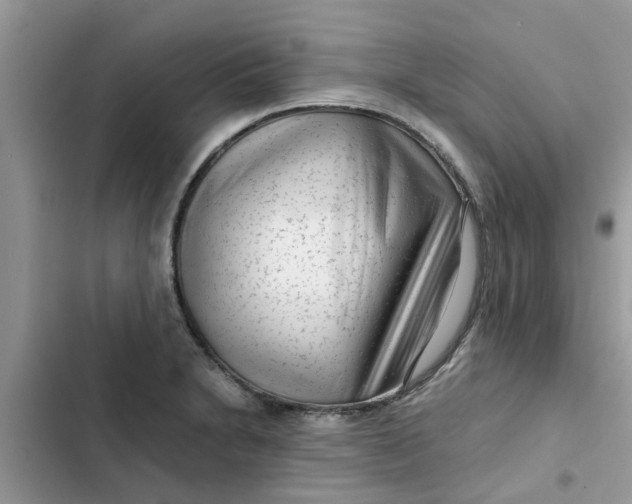 X0000102341230200808151720