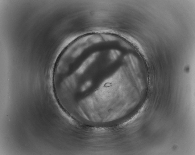 X0000102341231200808151721