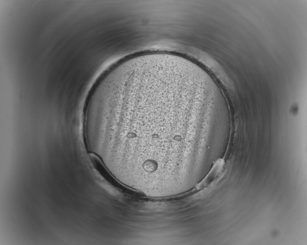 X0000102341232200808151721