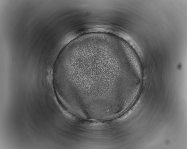 X0000102341233200808151721