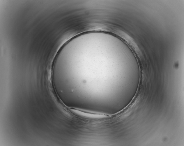 X0000102341234200808151721