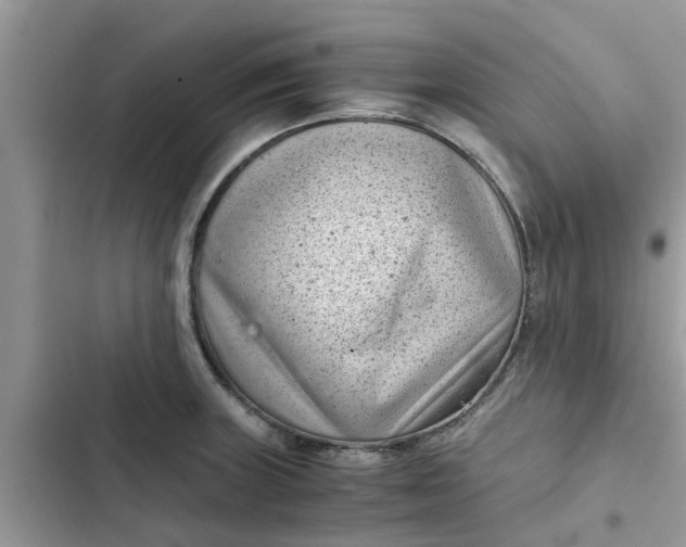 X0000102341235200808151721