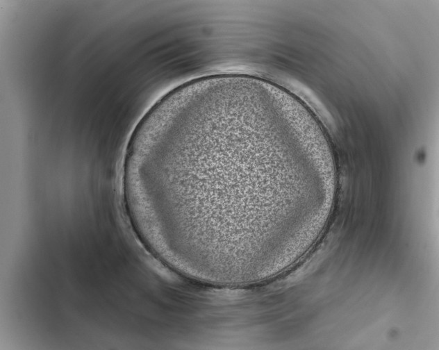 X0000102341236200808151721