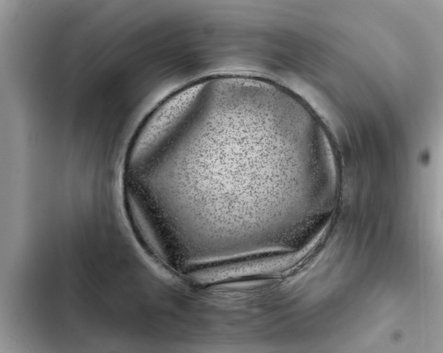 X0000102341237200808151721