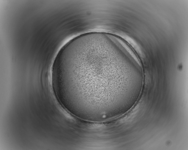 X0000102341238200808151721