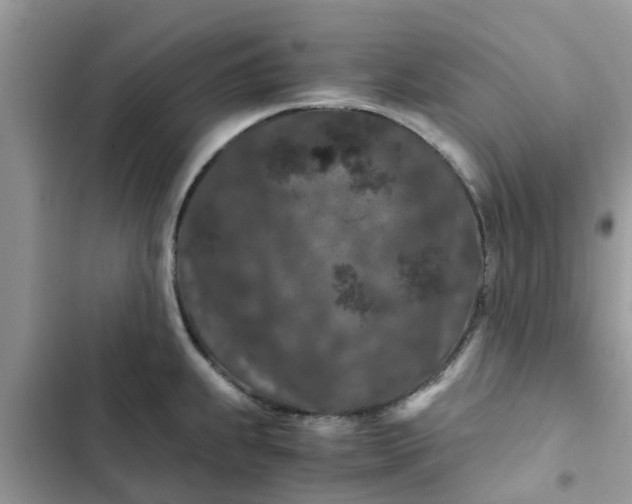 X0000102341239200808151721