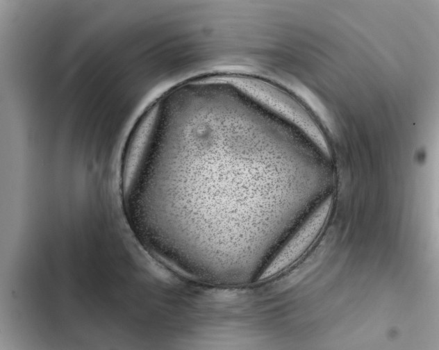 X0000102341240200808151721