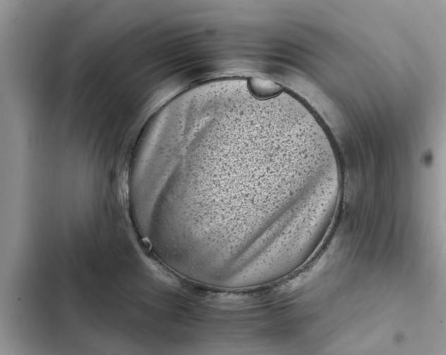 X0000102341241200808151721