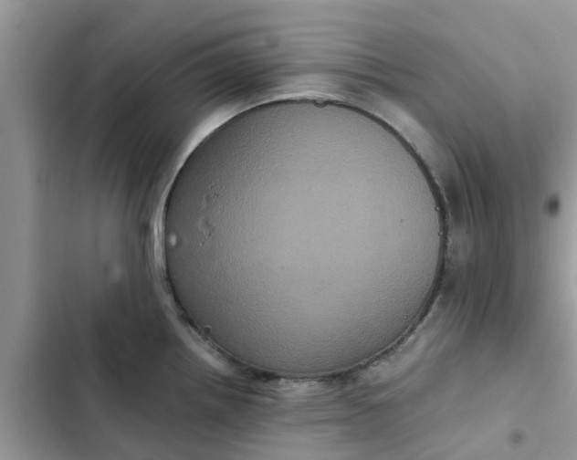 X0000102341242200808151721