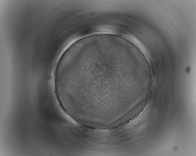 X0000102341243200808151721