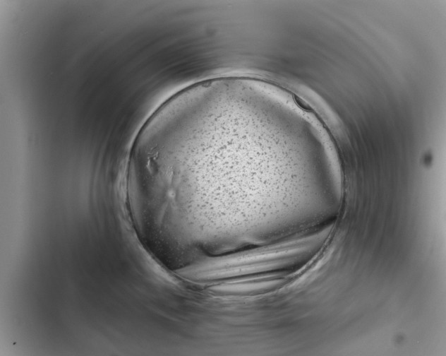 X0000102341244200808151721