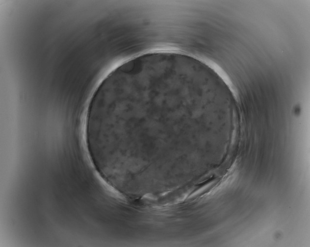 X0000102341245200808151721