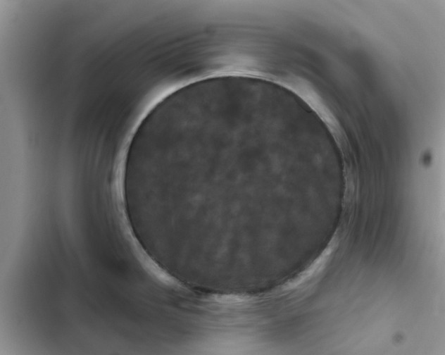 X0000102341246200808151721