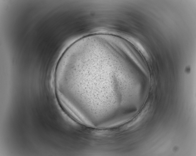 X0000102341247200808151721