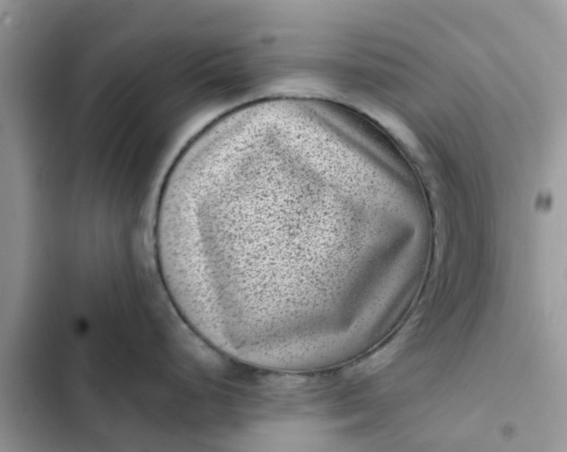 X0000102341248200808151721