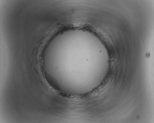 X0000102341249200808151720