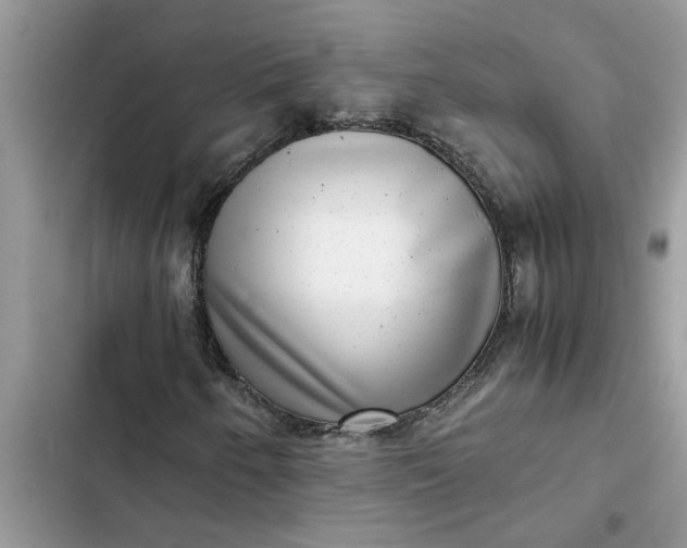 X0000102341250200808151720