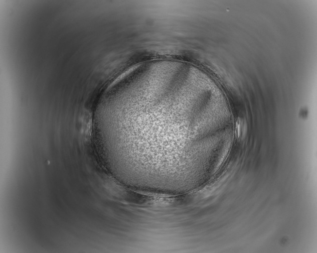 X0000102341251200808151720