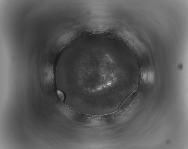 X0000102341252200808151720