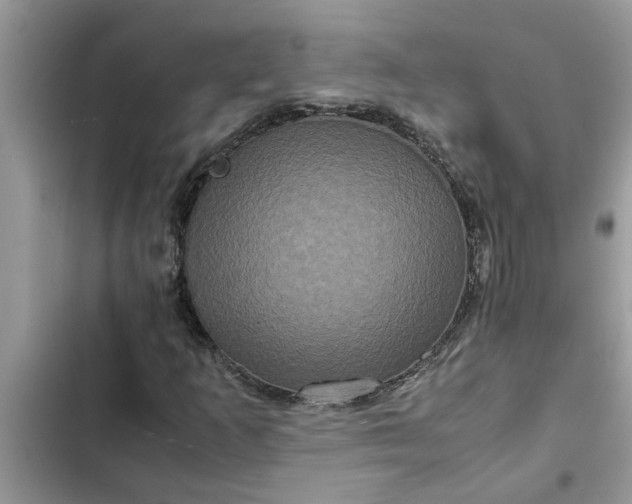 X0000102341253200808151720