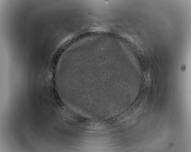 X0000102341254200808151720