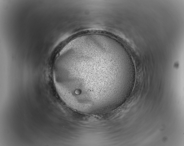 X0000102341255200808151720