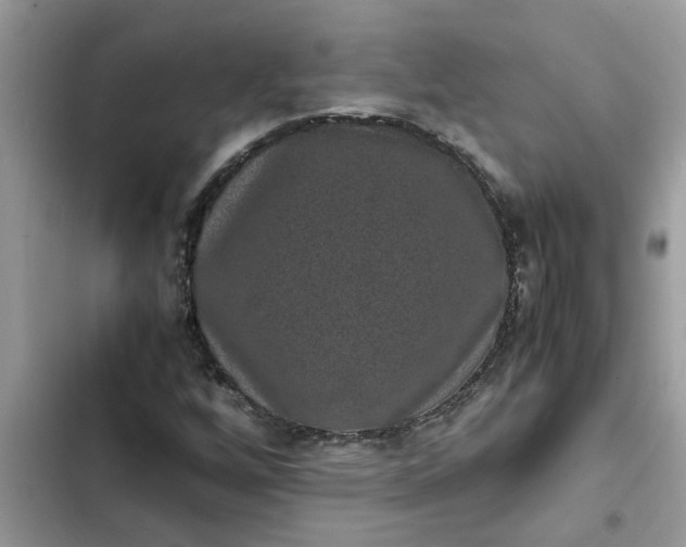 X0000102341256200808151720