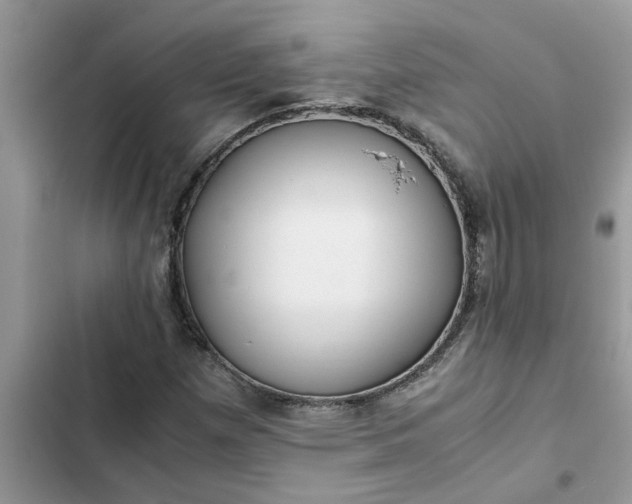 X0000102341257200808151720