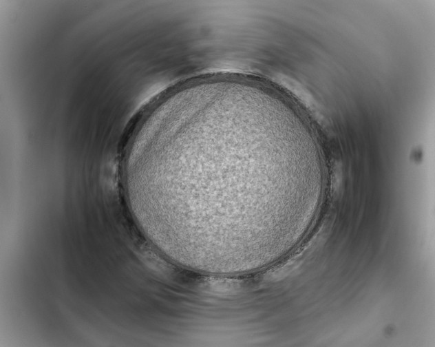 X0000102341258200808151720