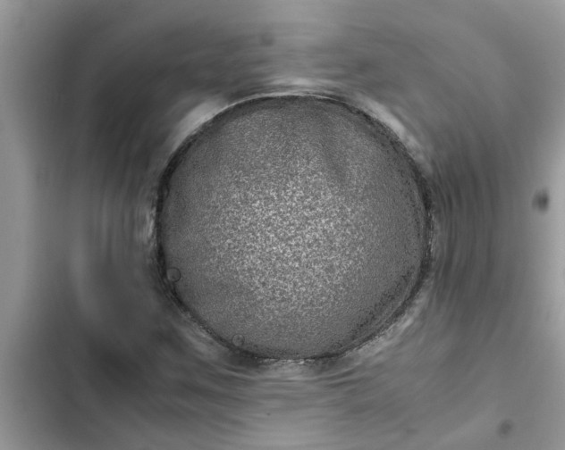 X0000102341259200808151720