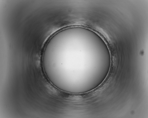 X0000102341260200808151720