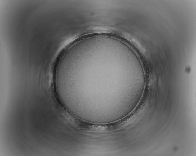 X0000102341261200808151720