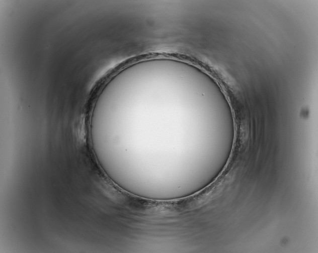 X0000102341262200808151720