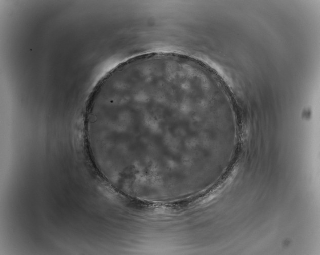 X0000102341263200808151720