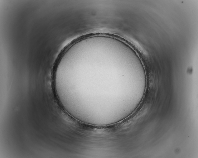 X0000102341264200808151720