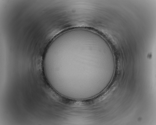 X0000102341265200808151720