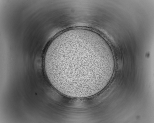 X0000102341266200808151720