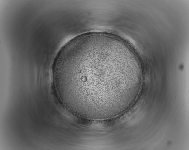 X0000102341267200808151720