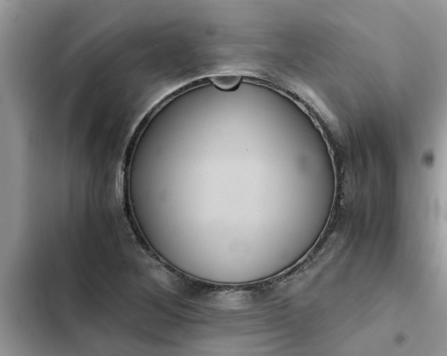 X0000102341268200808151720