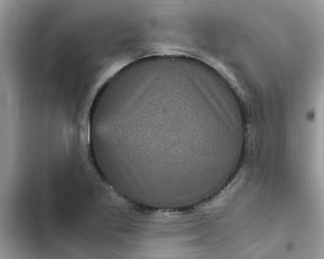 X0000102341269200808151720