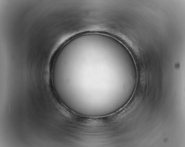 X0000102341270200808151720