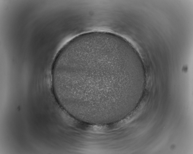 X0000102341271200808151720