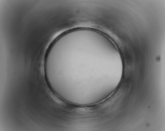 X0000102341272200808151720