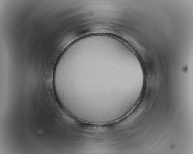 X0000102341273200808151720