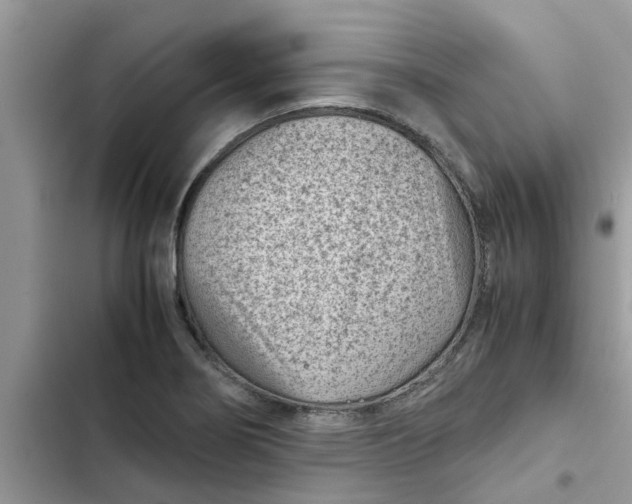 X0000102341274200808151720