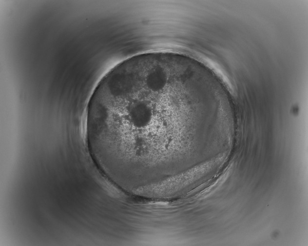 X0000102341275200808151720